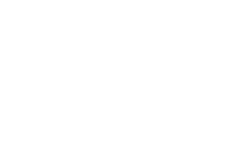 BestIn -Mower