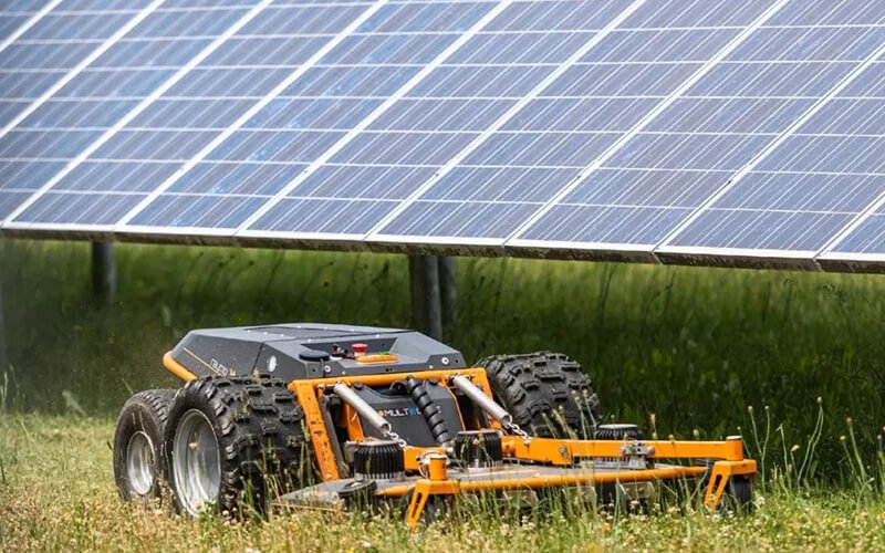 Solar Farm Vegetation Control